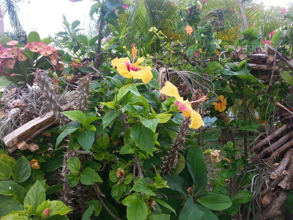 Emerald View Resort Villa Montego Bay Exterior foto